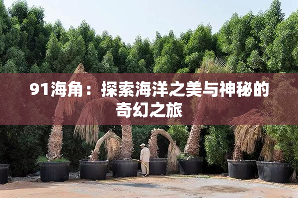 91海角：探索海洋之美与神秘的奇幻之旅