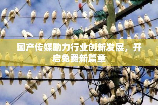 国产传媒助力行业创新发展，开启免费新篇章