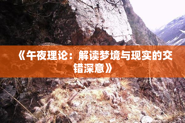 《午夜理论：解读梦境与现实的交错深意》