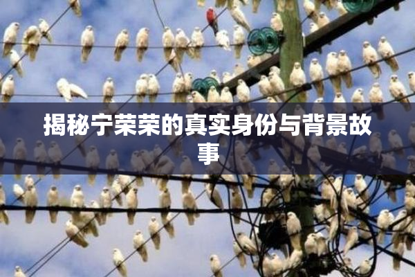 揭秘宁荣荣的真实身份与背景故事