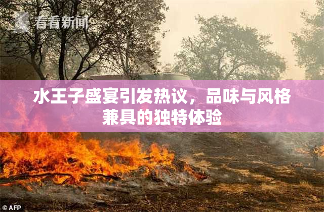 水王子盛宴引发热议，品味与风格兼具的独特体验