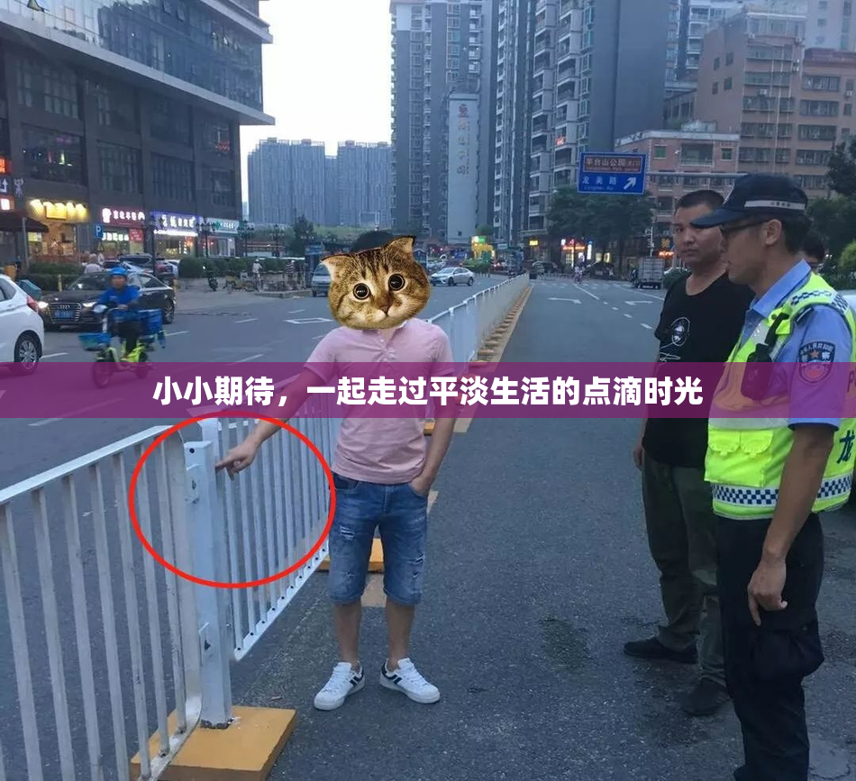 小小期待，一起走过平淡生活的点滴时光