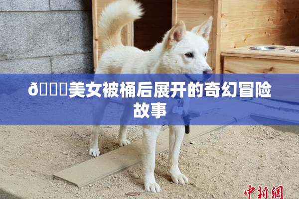 🔞美女被桶后展开的奇幻冒险故事