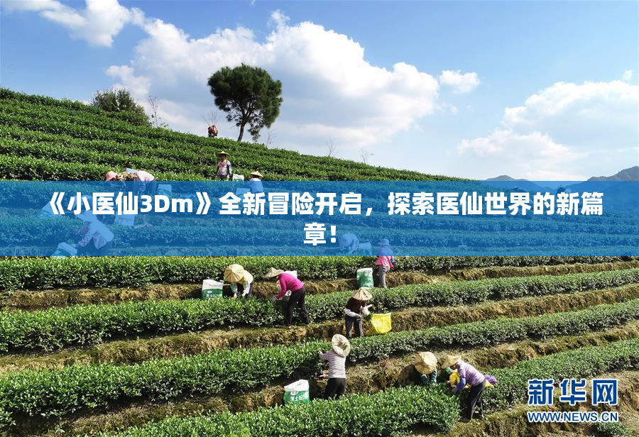 《小医仙3Dm》全新冒险开启，探索医仙世界的新篇章！