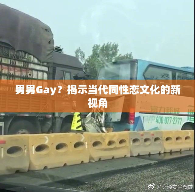 男男Gay？揭示当代同性恋文化的新视角