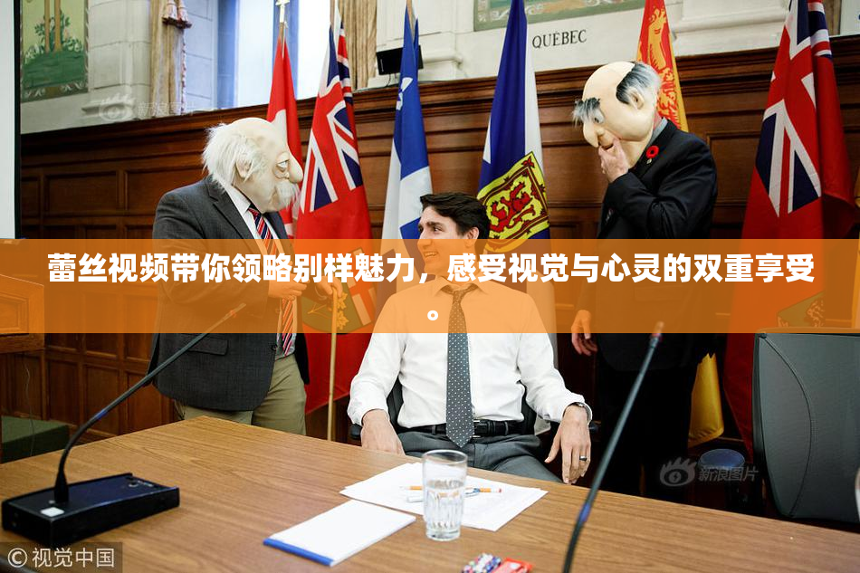蕾丝视频带你领略别样魅力，感受视觉与心灵的双重享受。