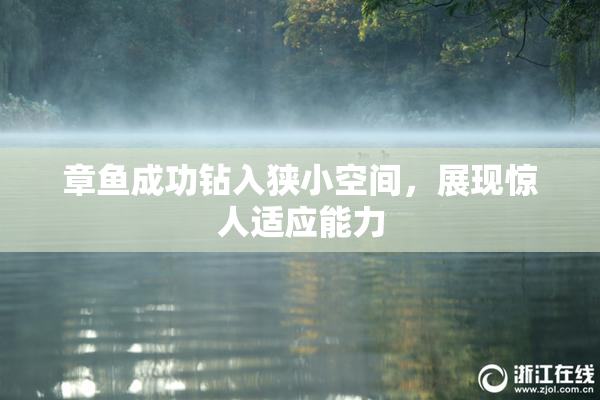 章鱼成功钻入狭小空间，展现惊人适应能力