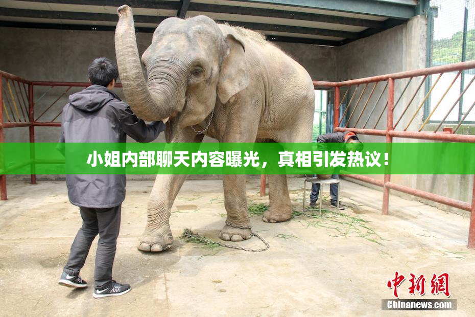 小姐内部聊天内容曝光，真相引发热议！
