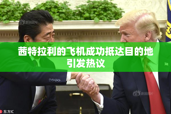 茜特拉利的飞机成功抵达目的地引发热议