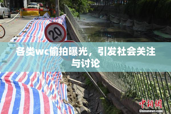 各类wc偷拍曝光，引发社会关注与讨论