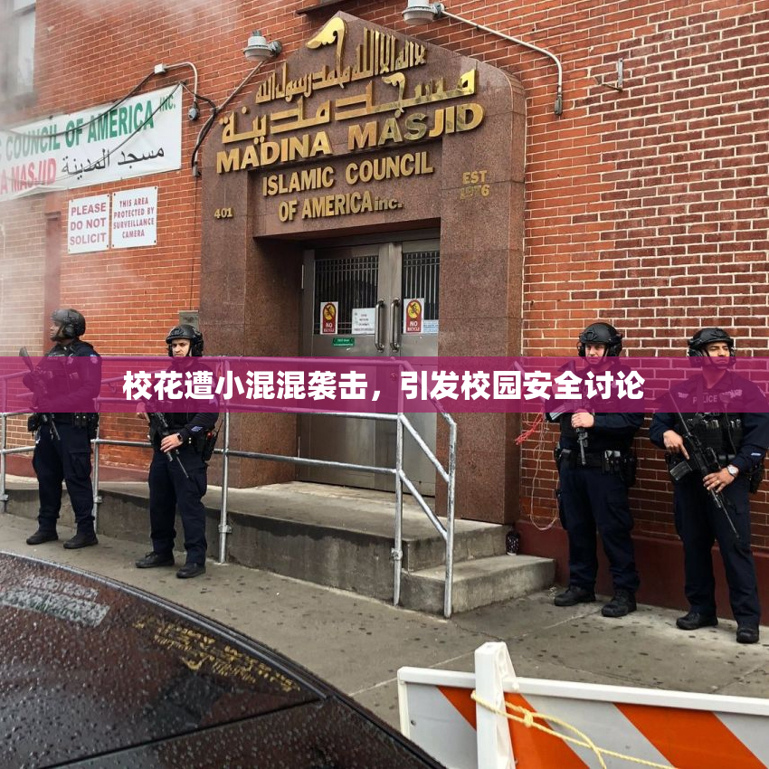 校花遭小混混袭击，引发校园安全讨论