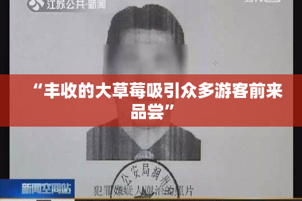 “丰收的大草莓吸引众多游客前来品尝”