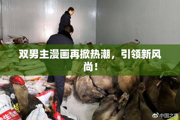 双男主漫画再掀热潮，引领新风尚！