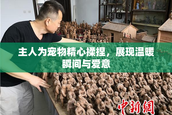 主人为宠物精心揉捏，展现温暖瞬间与爱意