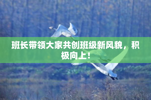 班长带领大家共创班级新风貌，积极向上！