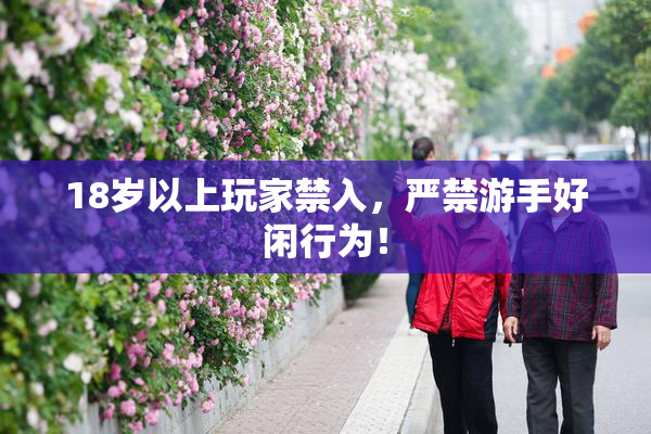18岁以上玩家禁入，严禁游手好闲行为！