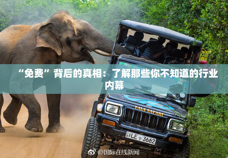 “免费”背后的真相：了解那些你不知道的行业内幕