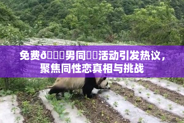 免费🔞男同❌‌活动引发热议，聚焦同性恋真相与挑战