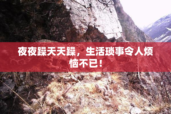 夜夜躁天天躁，生活琐事令人烦恼不已！