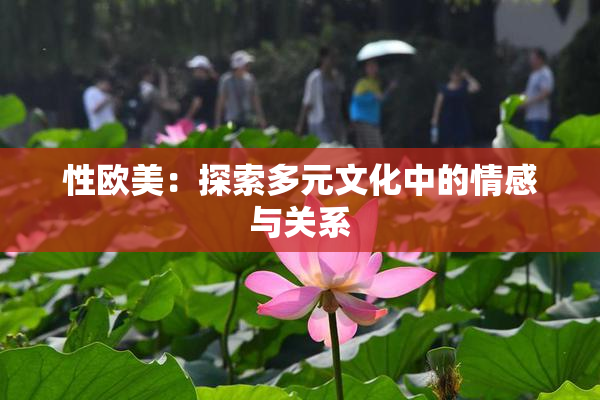 性欧美：探索多元文化中的情感与关系