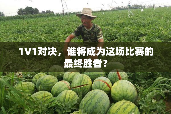 1V1对决，谁将成为这场比赛的最终胜者？