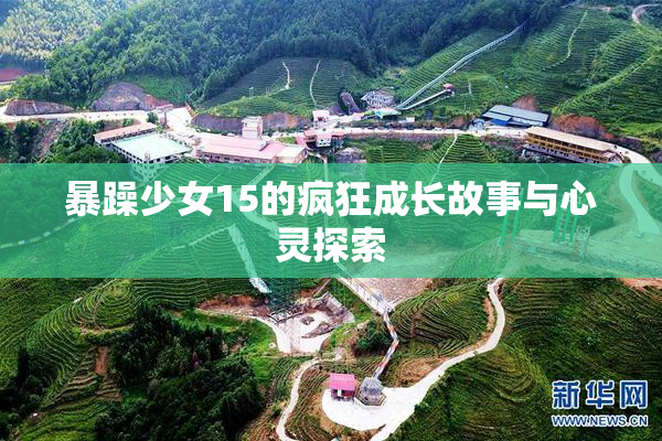 暴躁少女15的疯狂成长故事与心灵探索