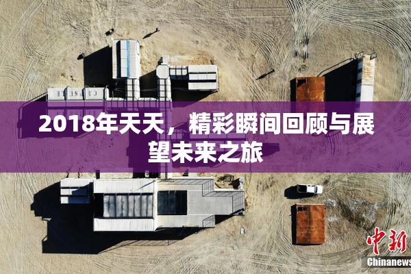 2018年天天，精彩瞬间回顾与展望未来之旅