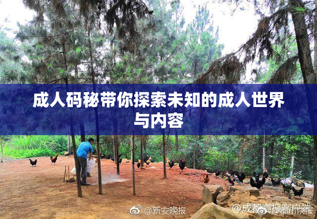 成人码秘带你探索未知的成人世界与内容