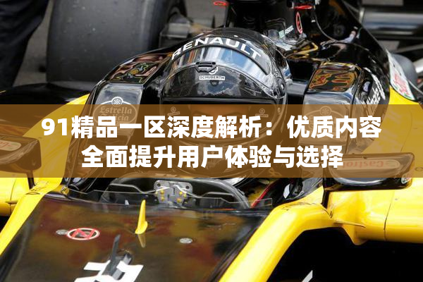 91精品一区深度解析：优质内容全面提升用户体验与选择