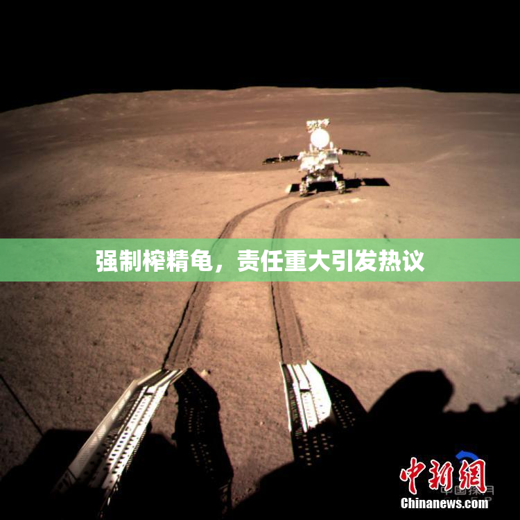 强制榨精龟，责任重大引发热议