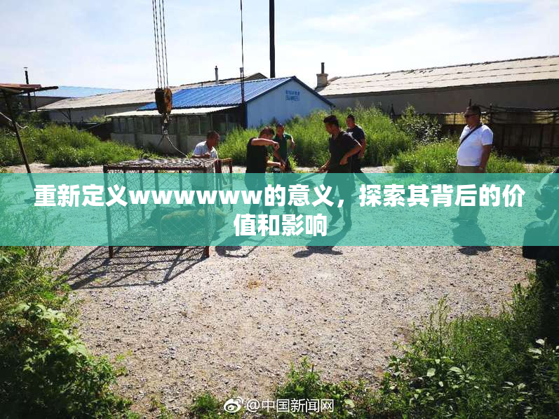 重新定义wwwwww的意义，探索其背后的价值和影响