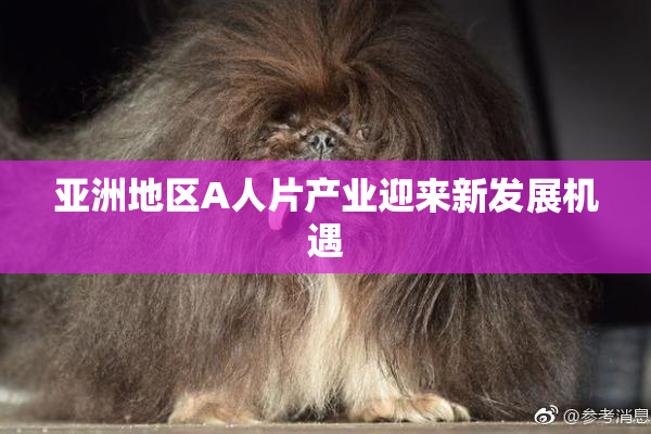 亚洲地区A人片产业迎来新发展机遇