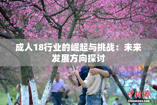 成人18行业的崛起与挑战：未来发展方向探讨