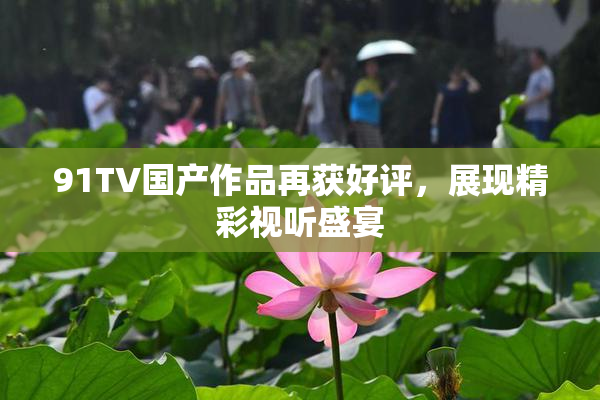 91TV国产作品再获好评，展现精彩视听盛宴