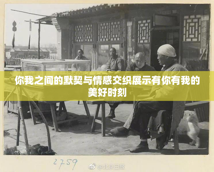 你我之间的默契与情感交织展示有你有我的美好时刻