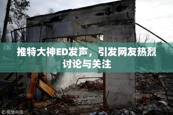 推特大神ED发声，引发网友热烈讨论与关注