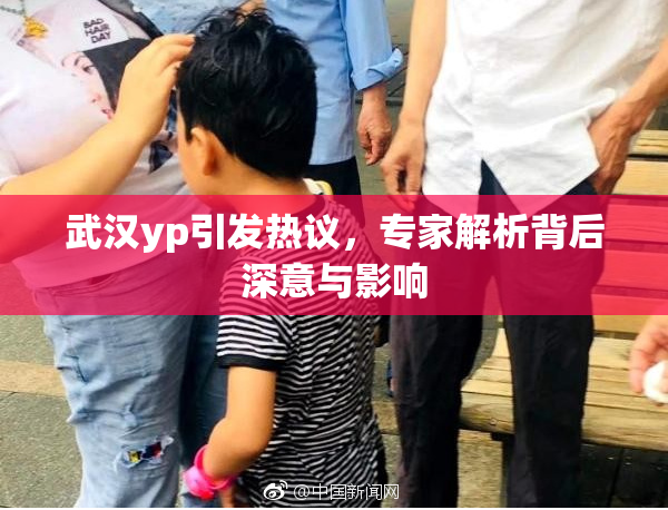 武汉yp引发热议，专家解析背后深意与影响