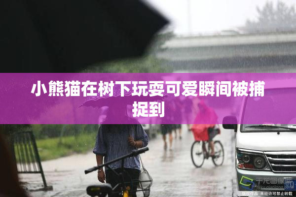 小熊猫在树下玩耍可爱瞬间被捕捉到