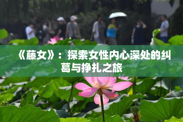 《藤女》：探索女性内心深处的纠葛与挣扎之旅