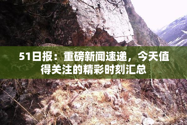 51日报：重磅新闻速递，今天值得关注的精彩时刻汇总