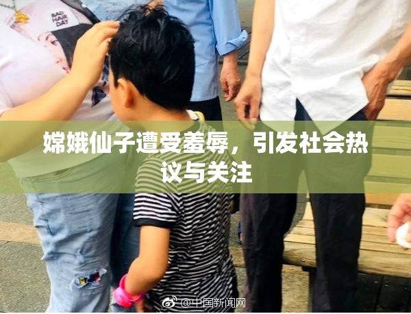 嫦娥仙子遭受羞辱，引发社会热议与关注