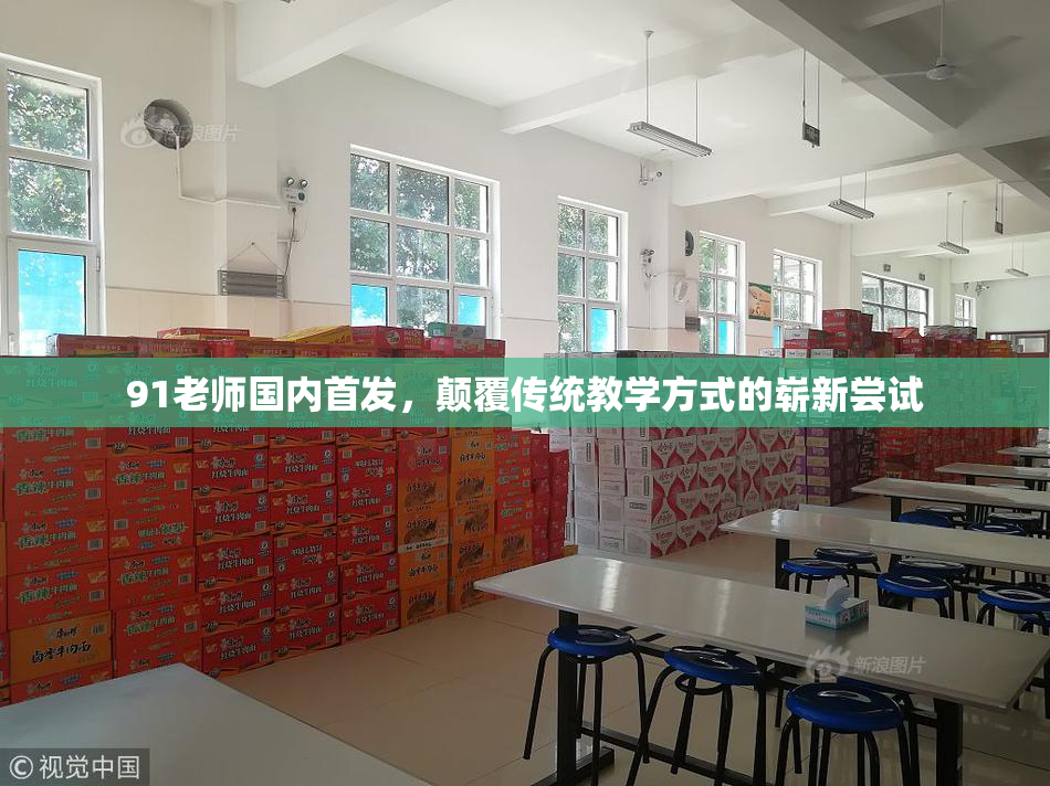 91老师国内首发，颠覆传统教学方式的崭新尝试