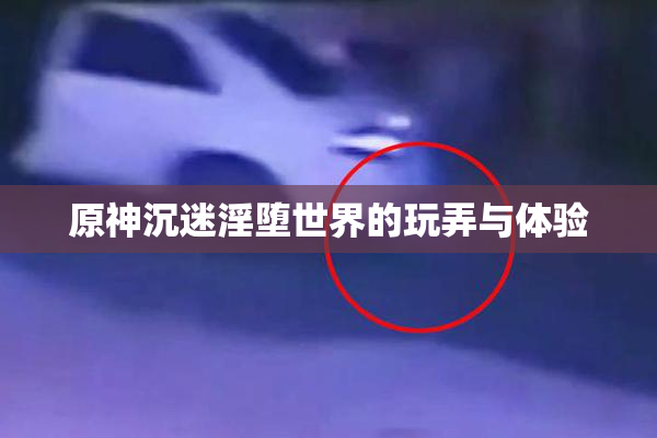 原神沉迷淫堕世界的玩弄与体验