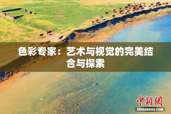 色彩专家：艺术与视觉的完美结合与探索