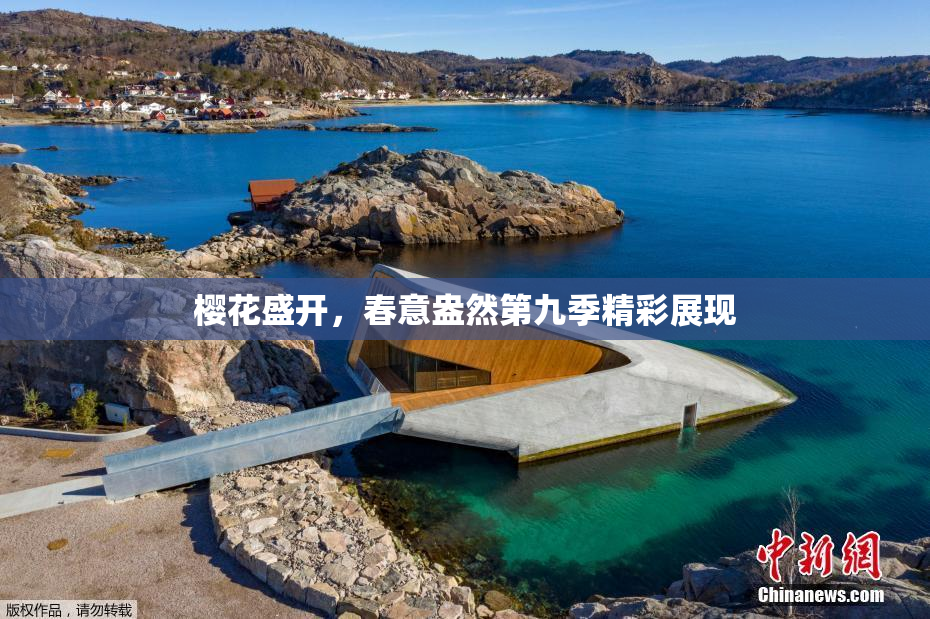 樱花盛开，春意盎然第九季精彩展现
