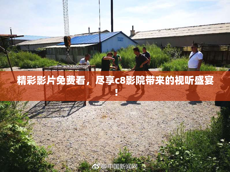 精彩影片免费看，尽享c8影院带来的视听盛宴！