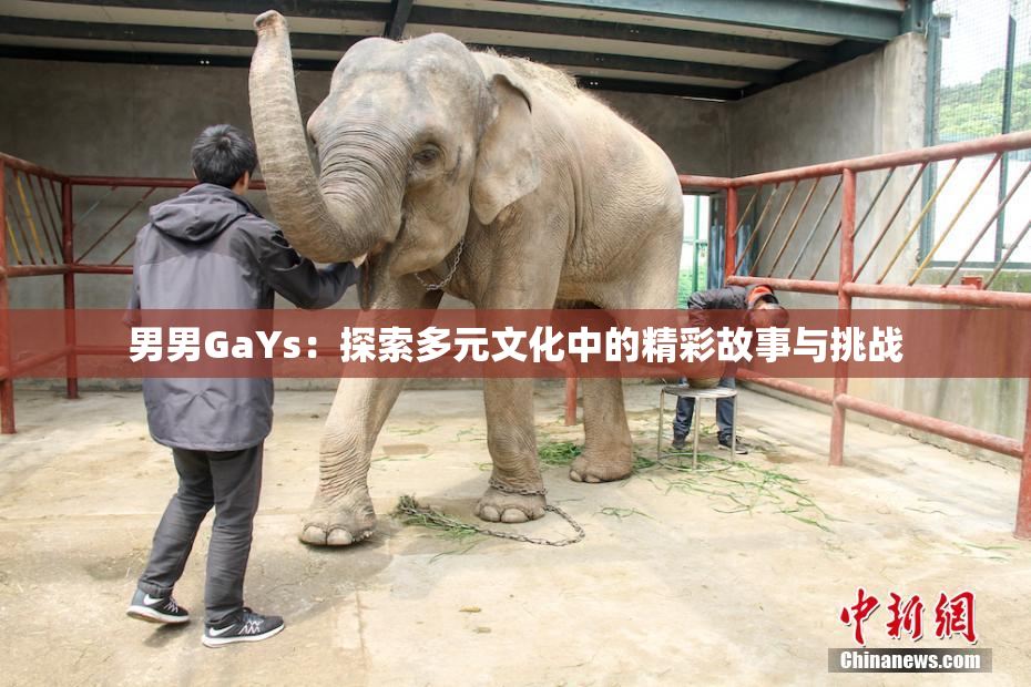 男男GaYs：探索多元文化中的精彩故事与挑战