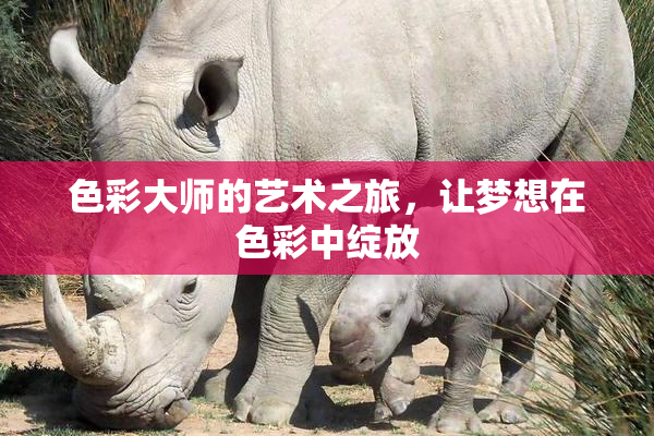 色彩大师的艺术之旅，让梦想在色彩中绽放
