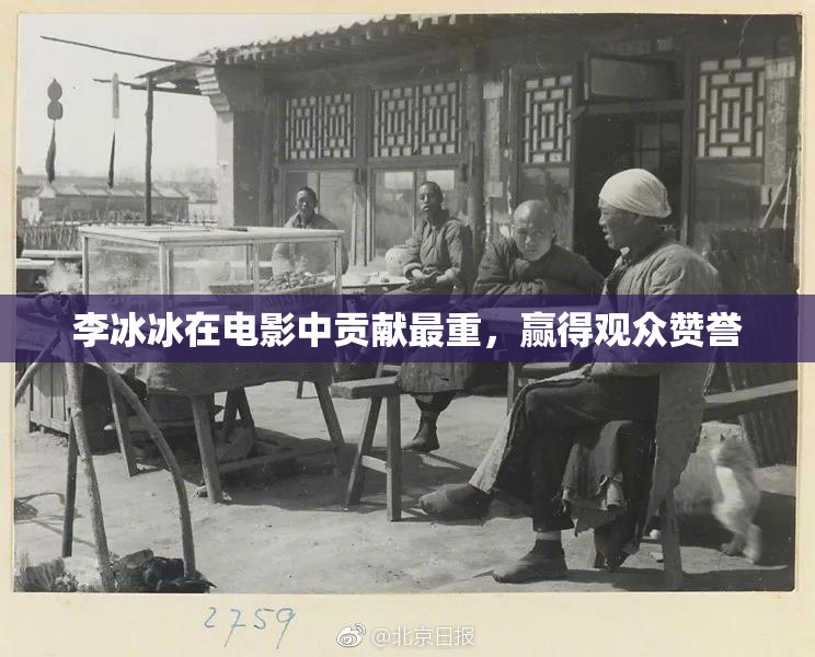李冰冰在电影中贡献最重，赢得观众赞誉