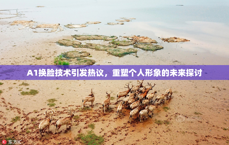 A1换脸技术引发热议，重塑个人形象的未来探讨